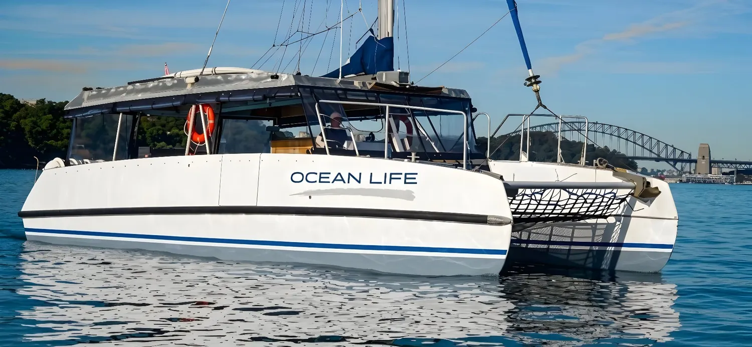 Ocean Life photo